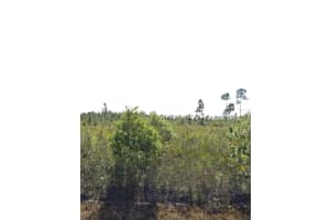 903 Calliandra Dr #9, INDIAN LAKE ESTATES