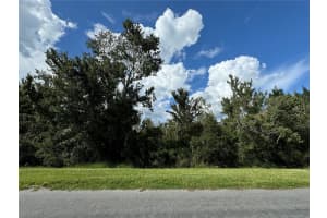 Sheldon St, ORLANDO