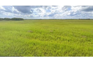 2468 Oconee Ave Sw, PALM BAY 2468 Oconee Ave Sw, PALM BAY