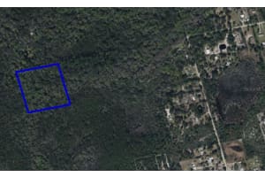 095 Pine Needle Rd, MIMS