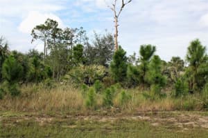 Lot 12 Sw 158 Th Ct, OCALA