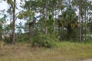 Lot 167 Nw 57th Ave, OCALA