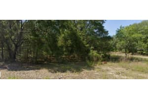 1606 E Artesian Ln, DUNNELLON