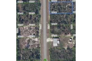 411 Hallmark Ave, LAKE PLACID