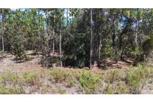 Lot 33 Sw Neptune Blvd, DUNNELLON
