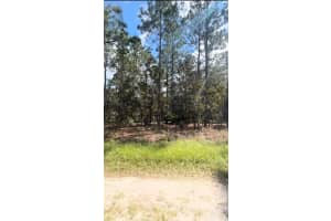 Sw 64 Street Rd, OCALA