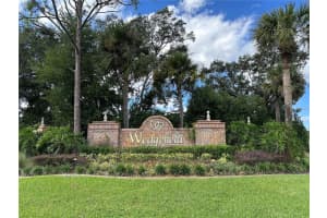 Wembley Ave, ORLANDO