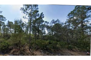 1158 Cockatoo Ave, LAKE PLACID