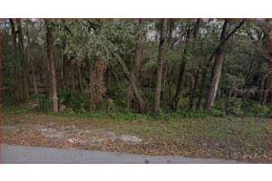 3003 Riverdale Rd, ORLANDO