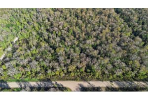 3911 Evergreen Ave, BUNNELL