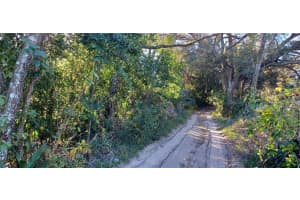 1182 Neal Sibert Dr, APOPKA