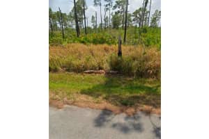 8225 Domenico St, SEBRING