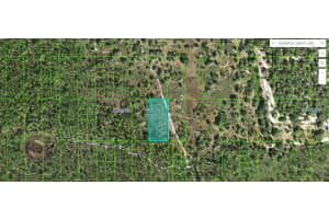 N/a, LAKE WALES
