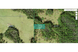 Green Pond Rd, POLK CITY