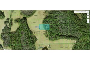 Green Pond Rd, POLK CITY