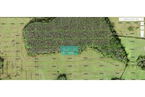 Green Pond Rd, POLK CITY