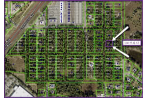 Las Palmas Ave #11-12, SPRING HILL