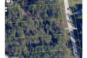 15107 Canvasback Rd, BROOKSVILLE