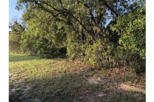 Undertermined, OCALA
