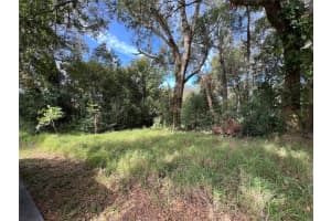 875 Ocoee Apopka Rd, APOPKA