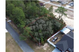Sw 151 St Pl, OCALA