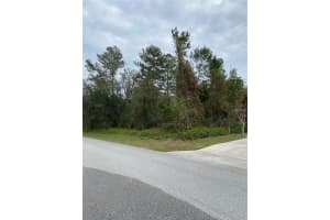 2103 Watersedge Dr, DELTONA