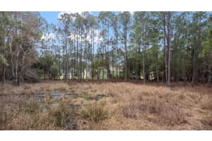 Sanctuary Ave, DEBARY