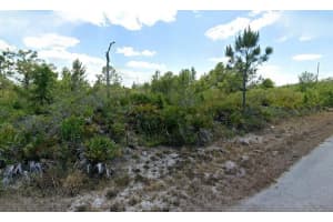 3546 Rhododendron Rd, LAKE PLACID