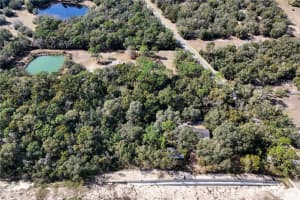 344 W Ponkan Rd, APOPKA