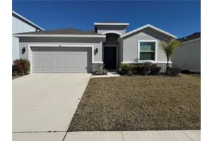 345 Mangrove Manor Dr, APOLLO BEACH