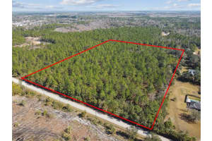 000 Old Haw Creek Rd, BUNNELL