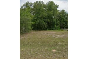 2254 W Deerfield Ln, DUNNELLON