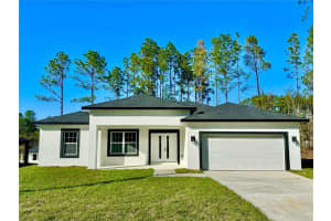 1593 W Diamond Dr, CITRUS SPRINGS 1593 W Diamond Dr, CITRUS SPRINGS