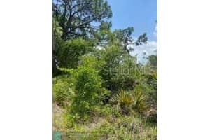 222 Vireo Ave, SEBRING