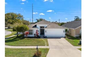 239 Bronze Leaf Ct, APOPKA