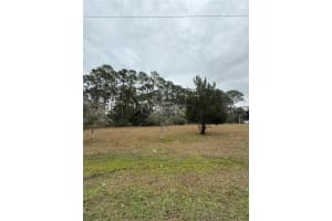 245 Ullian Trl, PALM COAST