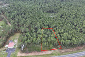 Hwy 40, OCALA