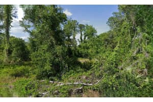 623 Cunningham St, LAKE PLACID