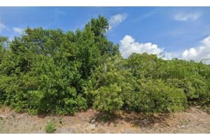 1018 Gardenia St, LAKE PLACID