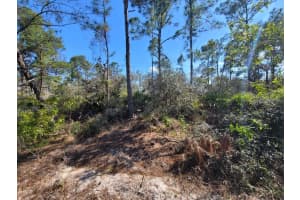 317 Tannery Ln, LAKE PLACID