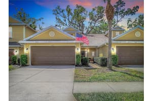 8539 Sandpiper Ridge Ave, TAMPA