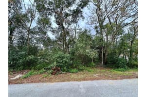 761 Arlene Dr, DELTONA