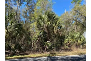 2519 W Plumtree Ln, DUNNELLON