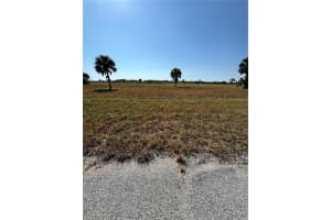 12496 Toadfish Ct, PLACIDA