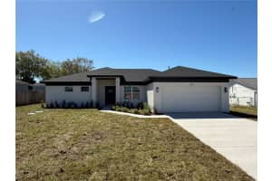 917 Swallow St, DELTONA