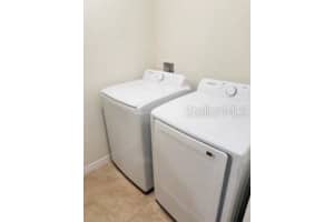 , WINTER GARDEN , WINTER GARDEN