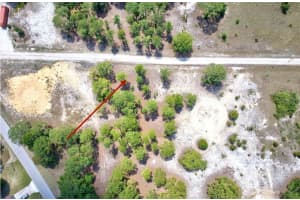 328 Tahiti Ave, LAKE PLACID