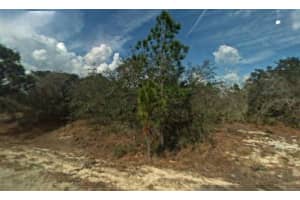 394 Crown Dr, LAKE PLACID