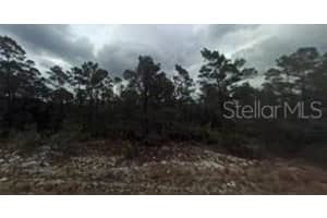 448 Quail Ave, SEBRING