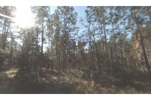 Sw 159th Ter, OCALA